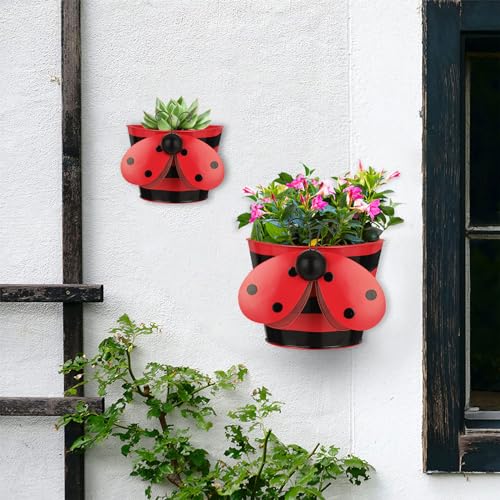 BAYN Metal Ladybug Wall Hanging Planter Decor for Indoor Outdoor Garden Yard
| BAYN Succulent Plant Container in Set of
